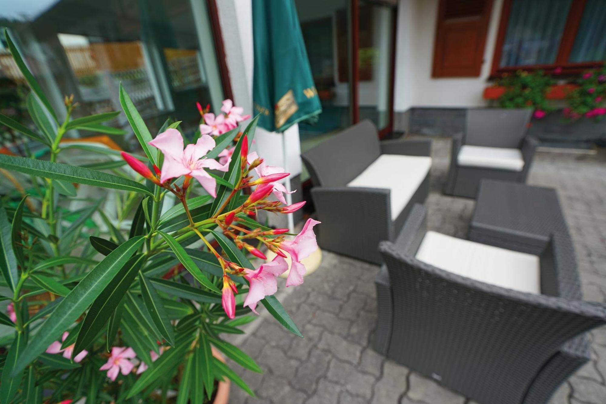 Landhotel Gasthof Zwota Klingenthal Exterior photo